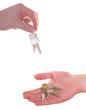 Keys hand over