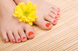 care for sensuality woman legs