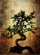 grungy bonsai
