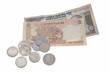 Indian currency