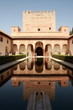 Alhambra Reflections