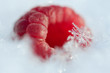Raspberries in the snow