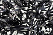 chaotic video tape background