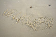 Urlaub! Urlaub!