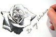 Hand sketching a rose and writing be my Valentine