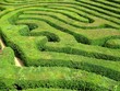 Labyrinth