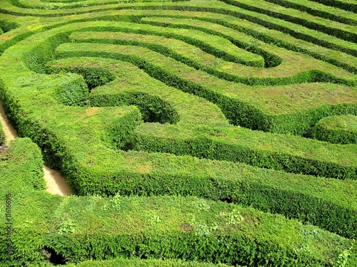 Labyrinth Labyrinth