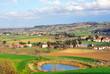 Vineyards near Imola Italy Vineyards near Imola Italy