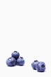 Blueberries 5 Blueberries 5