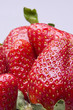 Strawberry 1 Strawberry 1