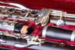 Clarinet in case