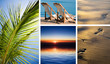 Vacation in tropic