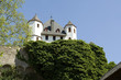Foto: Kurfuerstliche Burg Eltville Kurfuerstliche Burg Eltville