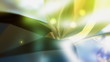 Wedding background