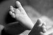 Baby Feet