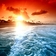 ocean sunrice