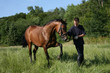 Reitpferd