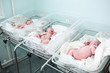 newborn in childbearing centre