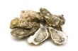 Photo: opened oysters on white background opened oysters on white background