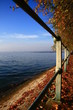 The Lake