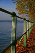 autumno al lago