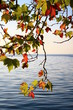 Lake in the autumn time