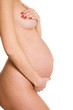 Healthy pregnant woman's belly
