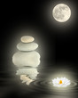 Zen Beauty