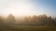 Hazy meadow lit by first rays of soft light Hazy meadow lit by first rays of soft light