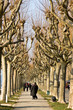 Promenade à Aix-Les-Bains Promenade à Aix-Les-Bains