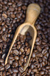 Close up of coffee beans spilling out of wooden scoop