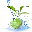 water drops on lime with green leaves isolated on white