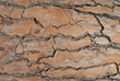 Texture