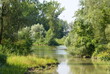 Hambergeraltarm