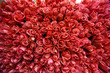 A Hundred Pink Roses