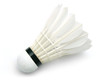 shuttlecock