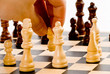 Chess gameplay - white pawn's move Chess gameplay - white pawn's move