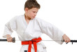 Karate Kid