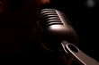 Singer