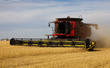Photo: Autumn Harvest Autumn Harvest