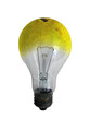 Pear bulb