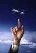 fly