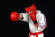 karate contact rouge competition kimono karate contact rouge competition kimono