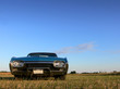 American Classic Car - The Bird in Blue