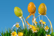 easter eggs on the meadow