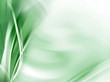Elegance Design or art element Elegance Design or art element