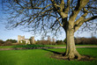 Malahide Castle 2009 4 Malahide Castle 2009 4