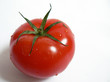 Tomato On White Background