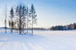 Winter landscape Winter landscape