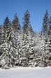 paysage neige